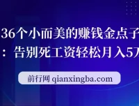 36个小而美的赚钱金点子课程：告别死工资轻松月入5万