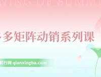 拼多多店铺矩阵玩法课程：低客单自然流与轻付费矩阵动销及核心权重提升