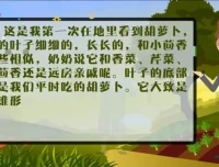 云舒写小学3 – 4年级写作素材课程（第二期）