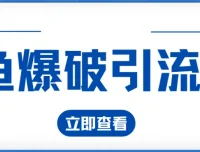 九京闲鱼爆破引流课程