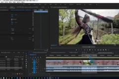 零基础到高手：PR剪辑全攻略