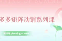 拼多多店铺矩阵玩法课程：低客单自然流与轻付费矩阵动销及核心权重提升