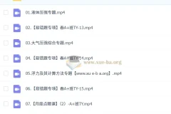 2024 – 2025 初二物理刘怡 A+ 全学年课程