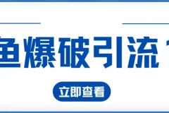 九京闲鱼爆破引流课程
