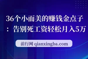 36个小而美的赚钱金点子课程：告别死工资轻松月入5万