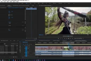 零基础到高手：PR剪辑全攻略