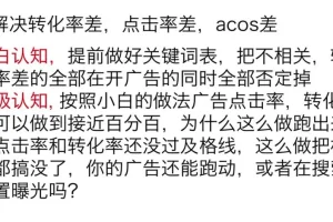 亚马逊广告实战课：揭秘底层逻辑与高阶打法