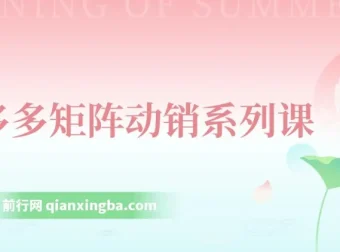 拼多多店铺矩阵玩法课程：低客单自然流与轻付费矩阵动销及核心权重提升