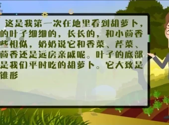 云舒写小学3 – 4年级写作素材课程（第二期）