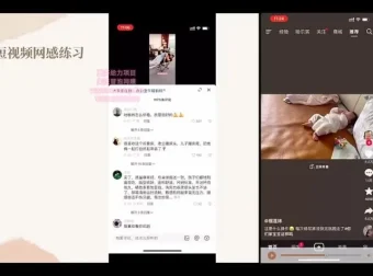 抖音短视频底层逻辑全案拆解视频课程