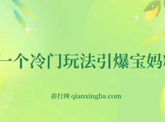 冷门玩法：精准引流宝妈粉并实现变现，长期项目轻松日入300+