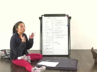 《瑜伽从初级到高级：100节全面教程》