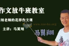 马翼翔《画说作文》：开心作文放牛班教室