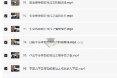 付峰老师《家庭教育课程：学霸养成计划》