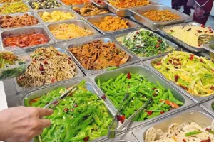 700种中式快餐技术配方：涵盖大锅菜、盒饭、炒菜等多样外卖配方