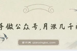 新手做公众号月涨几千粉：简单方法与变现思路分享