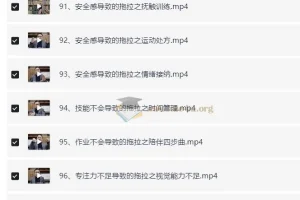 付峰老师《家庭教育课程：学霸养成计划》