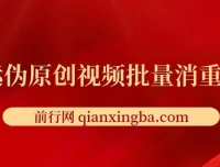 搬运伪原创视频批量消重工具