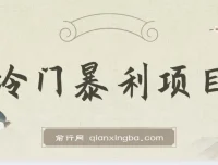 抖音卖车载U盘冷门暴利项目教程及素材分享