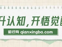 人生成长指南：掌握底层逻辑、生财之道与全脑思维模式