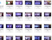 杨春虎舌诊精品面授课25节