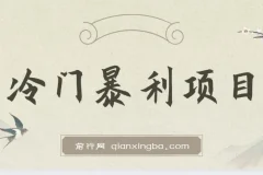 抖音卖车载U盘冷门暴利项目教程及素材分享