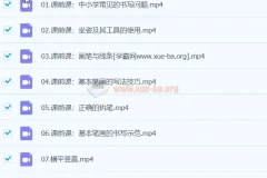 李伟书法幼小思维书写精品课