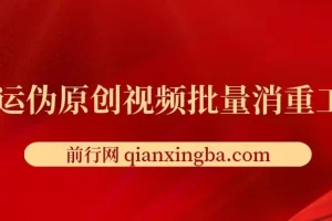 搬运伪原创视频批量消重工具