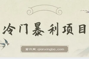 抖音卖车载U盘冷门暴利项目教程及素材分享