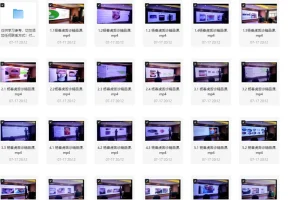 杨春虎舌诊精品面授课25节