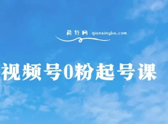 视频号0粉起号课程：实操教学，自然流结合微付费带货