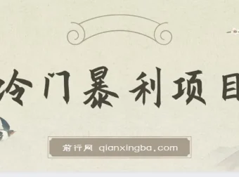 抖音卖车载U盘冷门暴利项目教程及素材分享