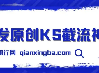 首发原创KS截流神器：手机采集ID直接截流