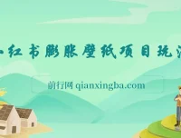 小红书膨胀壁纸项目玩法：女生超爱的壁纸，0门槛新手也能日入300+