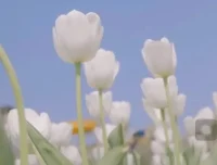 伍伍老师摄影教程：从基础到高级的全方位摄影攻略