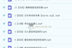 小学语文三年级大语文课程