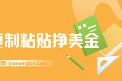 复制粘贴挣美金内部教程：0门槛3分钟学会