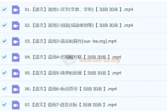 2024中考语文语言文字运用一本通（完结版）