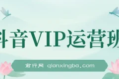 抖音VIP运营班