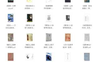 《武术类书籍与视频教程合集》