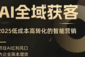 AI全域获客实训营：2025低成本高转化智能营销课程