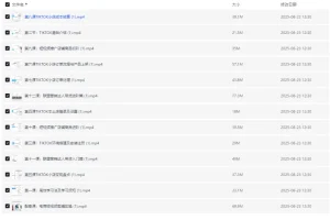 TikTok跨境电商全流程课程：从入门到实操，掌握流量变现与小店运营