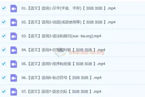 2024中考语文语言文字运用一本通（完结版）