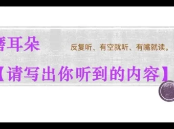 2025高考英语一轮二轮全程班：赵晨曦语法阅读写作技巧精讲