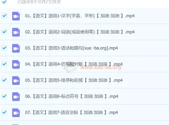 2024中考语文语言文字运用一本通（完结版）