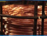 斑马百科：岩石矿物图鉴 – 12课探索地球宝藏