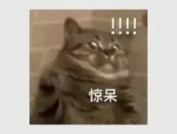 韦老师五国语言4000核心词汇速记营