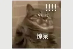 韦老师五国语言4000核心词汇速记营