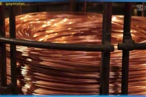 斑马百科：岩石矿物图鉴 – 12课探索地球宝藏