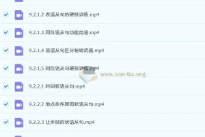 李辉高一英语全体系规划学习卡·下